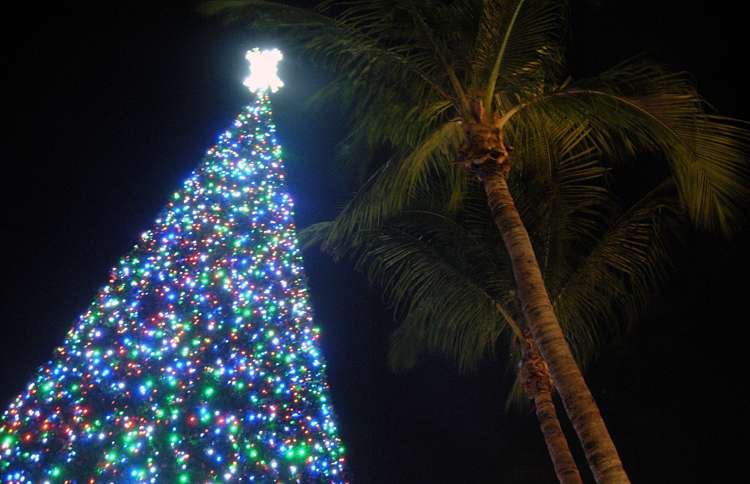 Guideposts: Delray Beach's tree, covered with more than 15,000 LED lights, is positioned in the city's Old School Square.