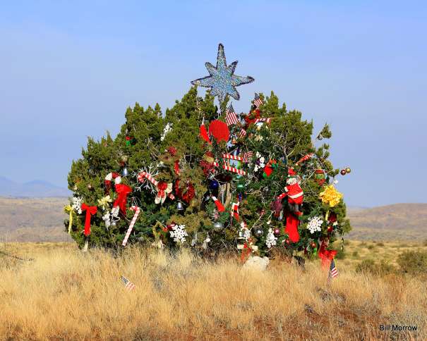 Guideposts: This festive juniper growing on the median of Interstate 17 in Arizona, near the Sunset Point rest area an hour north of Phoenix, has intrigued drivers for nearly three decades. 